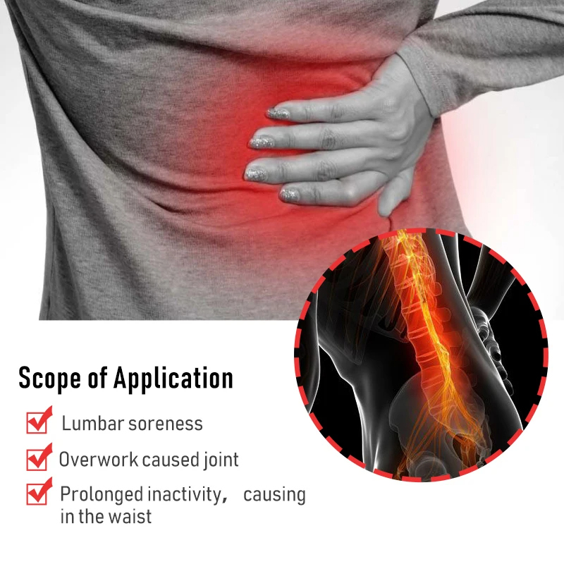 60/6 PCS Lumbar Pain Patch Wor - Herbal Wellness Patches avaliação e preço