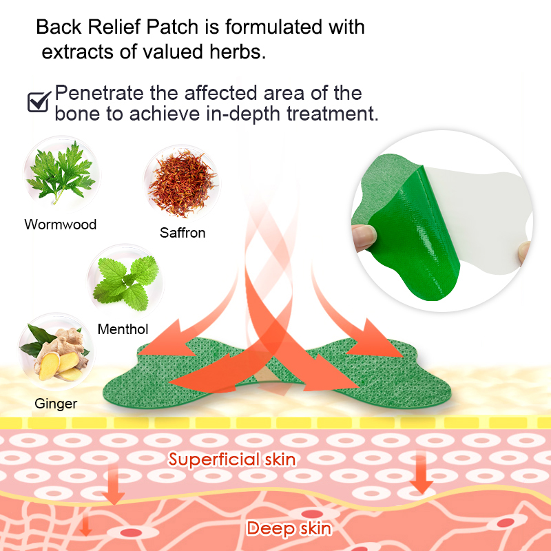 60/6 PCS Lumbar Pain Patch Wor - Herbal Wellness Patches avaliação e preço